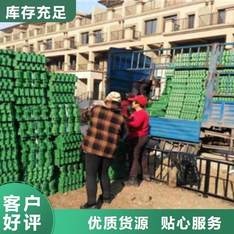 【环保植草格膨润土防水毯厂家服务至上】