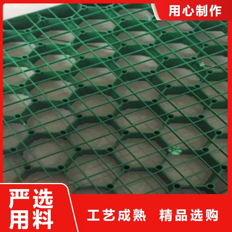 环保植草格-膨润土防水毯厂家货到付款