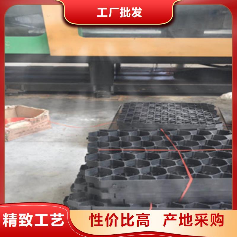 【环保植草格】-土工布厂家品质好才是硬道理
