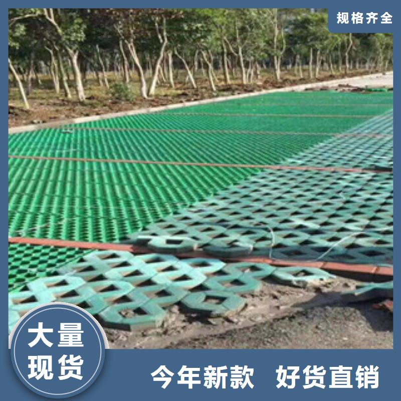 环保植草格-膨润土防水毯厂家货到付款