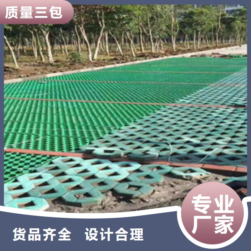 环保植草格【排水板厂家】品牌大厂家