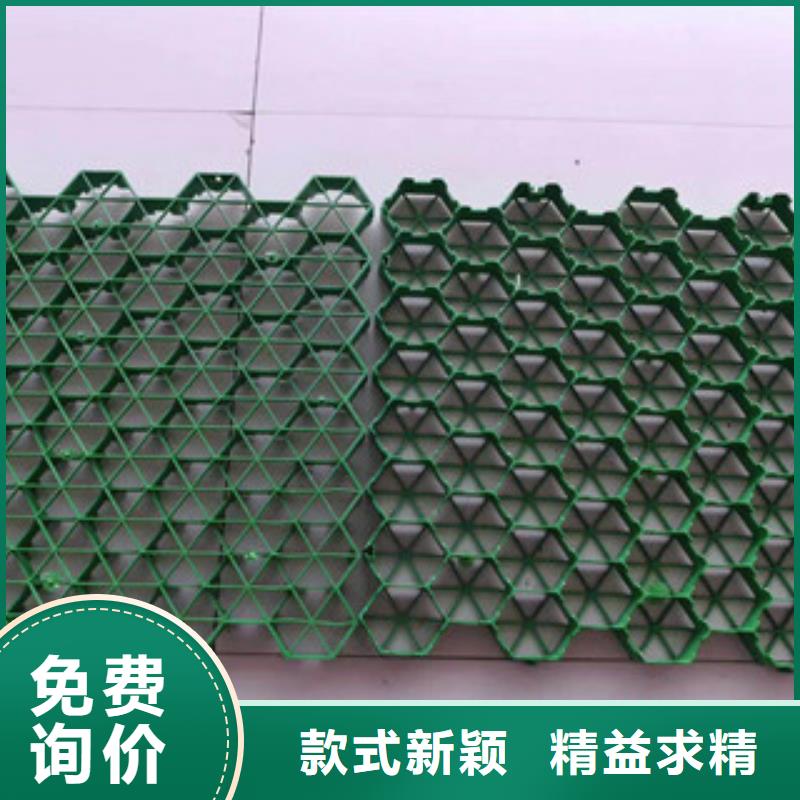 【环保植草格】-土工布厂家品质好才是硬道理