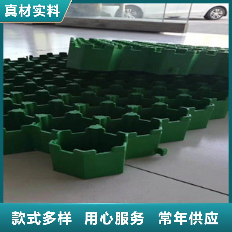 环保植草格蓄排水板厂家好产品不怕比