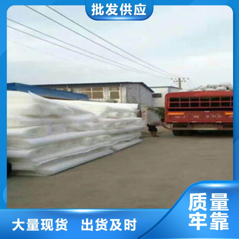 塑料排水板蓄排水板厂家的图文介绍