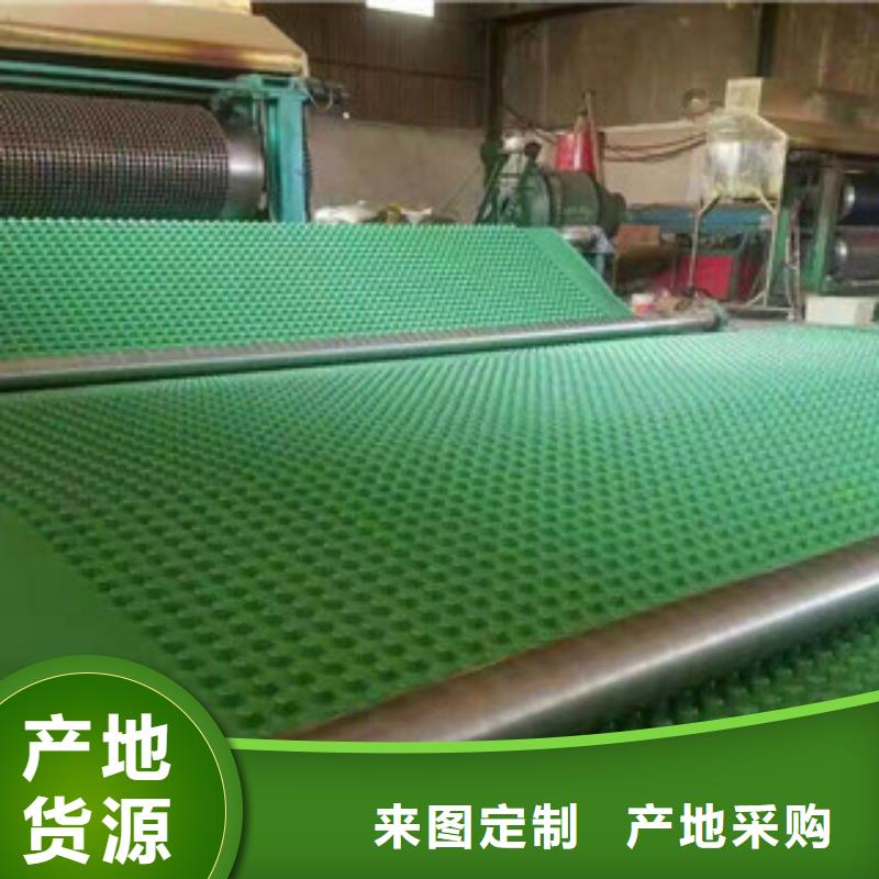 塑料排水板土工膜厂家厂家现货批发