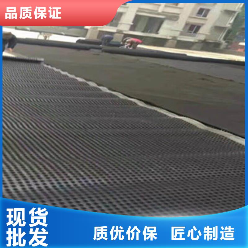 塑料排水板排水板厂家有口皆碑