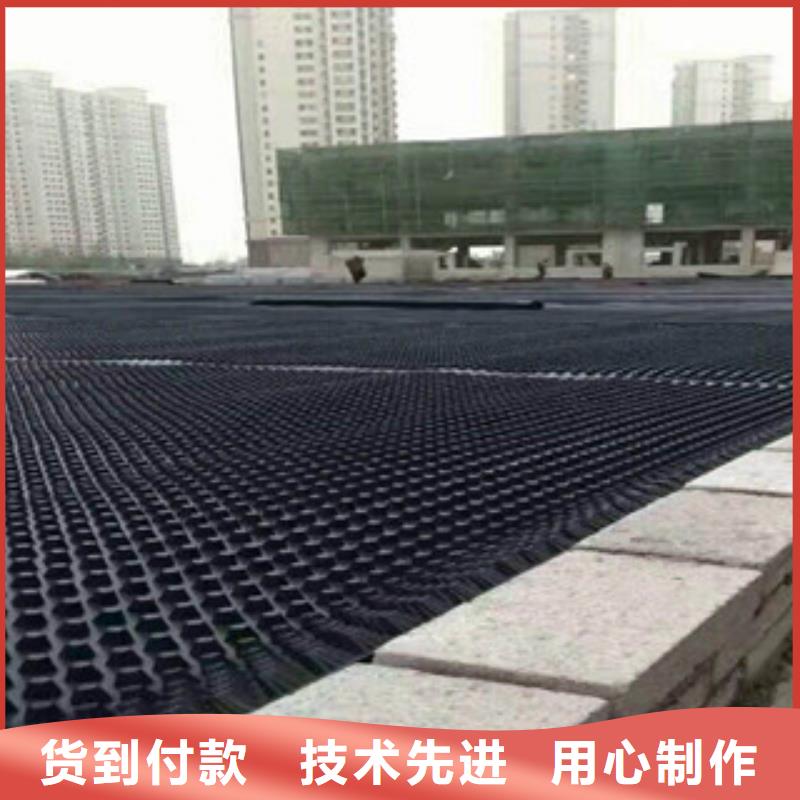 塑料排水板排水板厂家有口皆碑