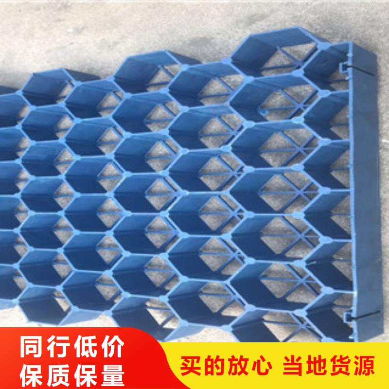 植草格【生态袋厂家】就近发货