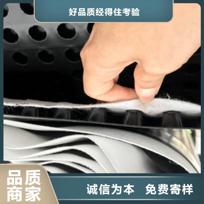 排水板蓄排水板厂家打造好品质