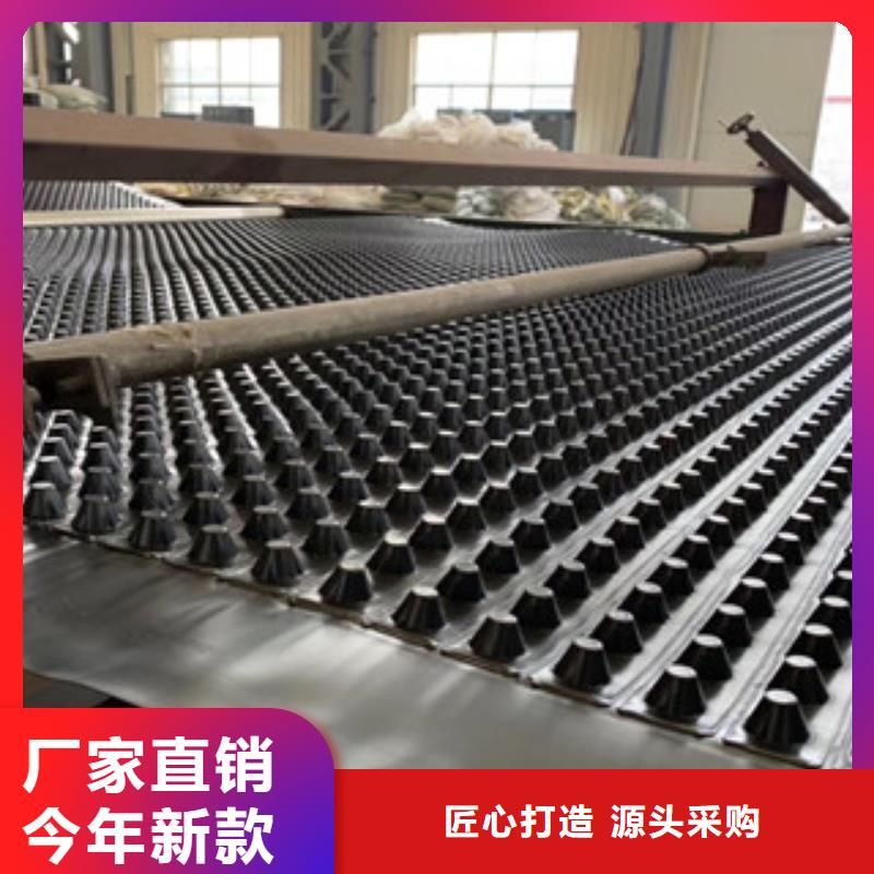排水板蓄排水板厂家打造好品质