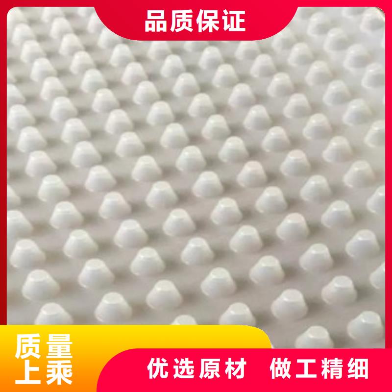 排水板蓄排水板厂家打造好品质