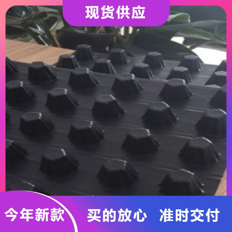 排水板植草格厂家产品优势特点