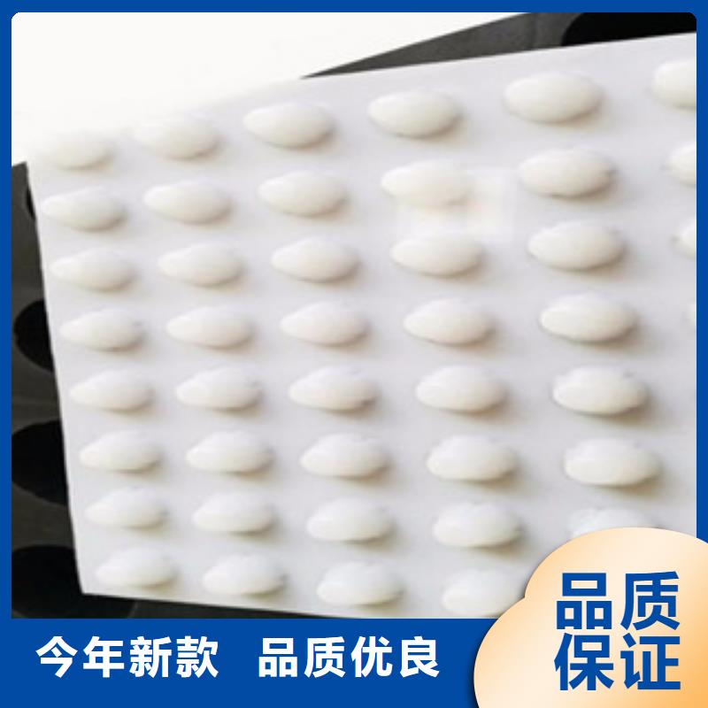 排水板蓄排水板厂家打造好品质