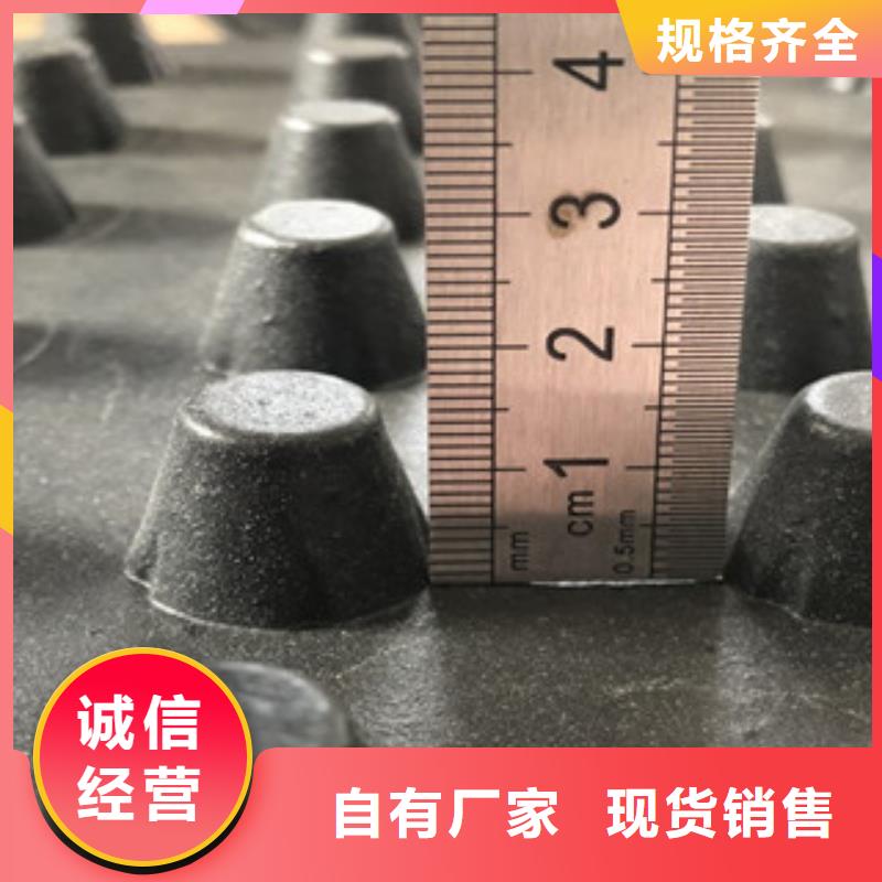 排水板土工布厂家产品参数