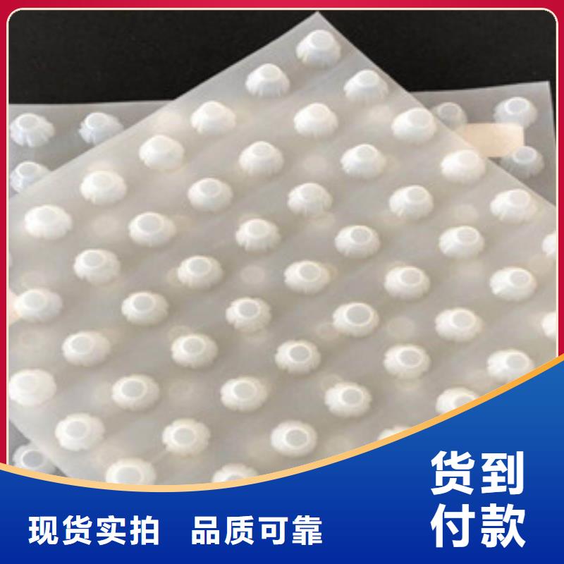排水板土工布厂家今日价格