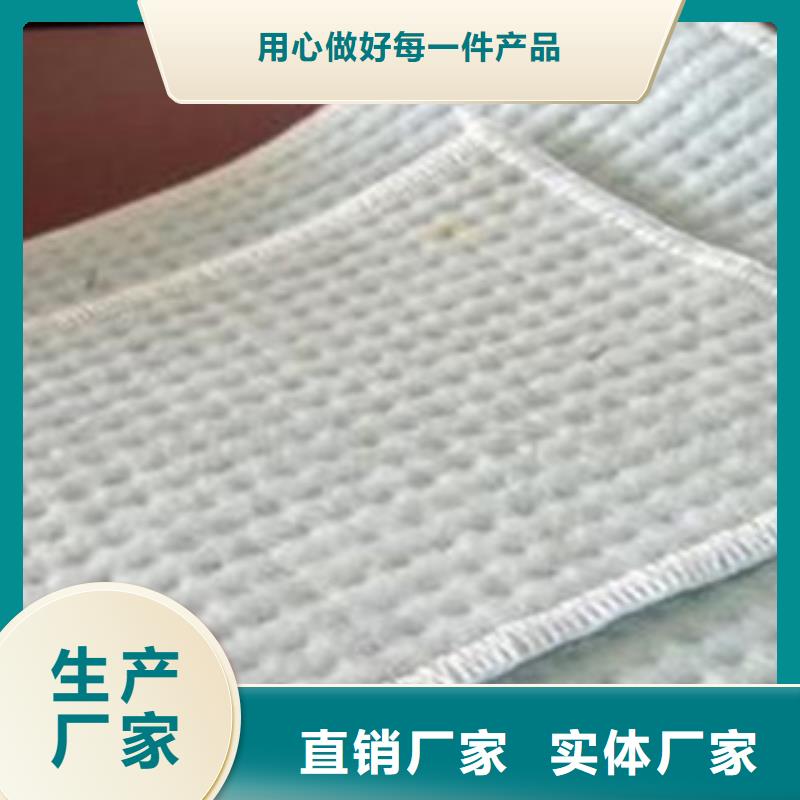 防水毯蓄排水板厂家规格齐全实力厂家