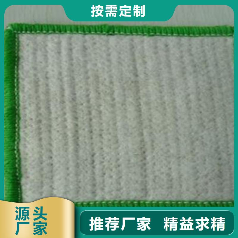 【防水毯】植草格厂家优选厂商
