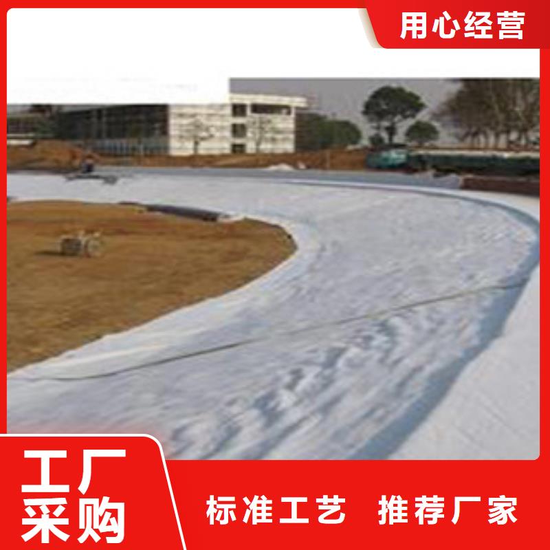 防水毯排水板厂家有实力有经验