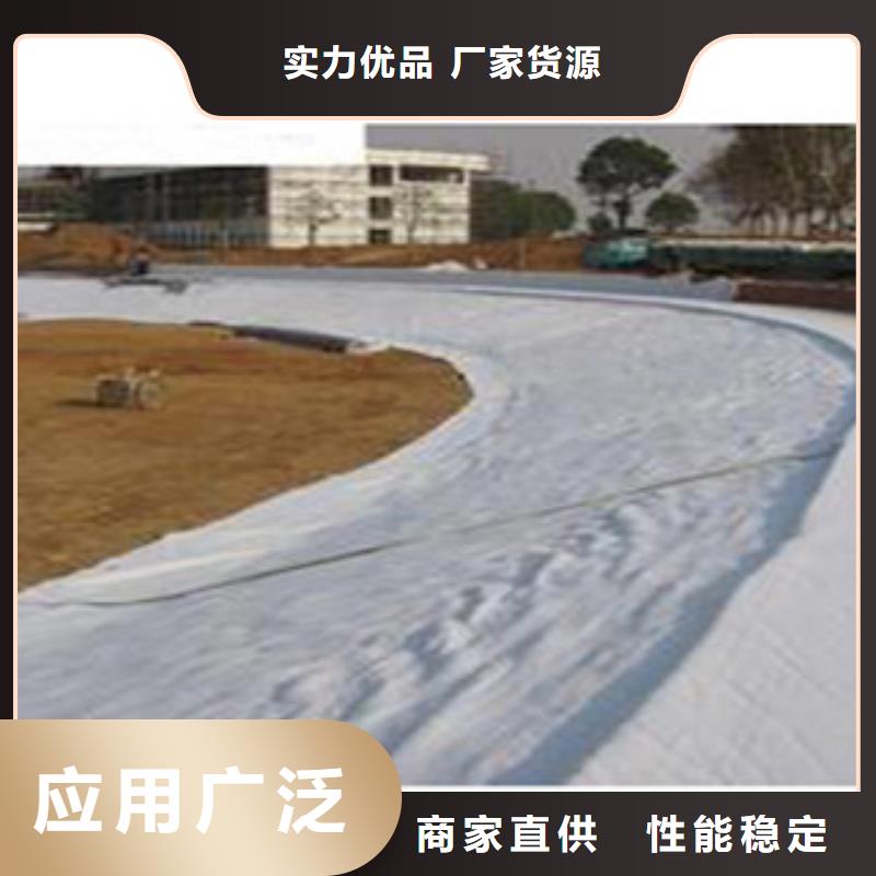 【防水毯】植草格厂家质量不佳尽管来找我