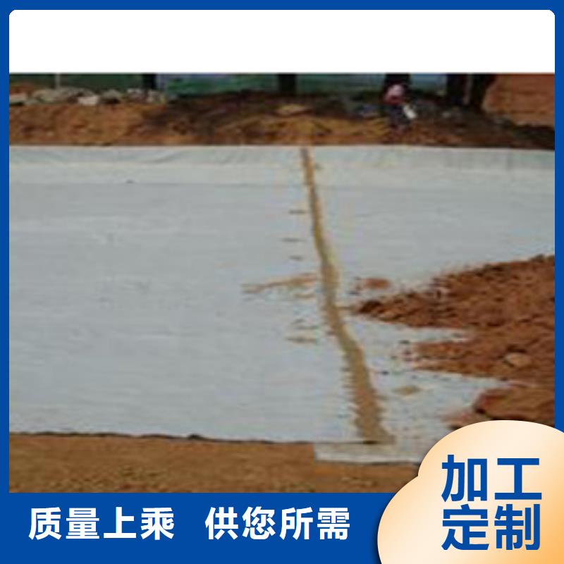 【防水毯】植草格厂家质量不佳尽管来找我
