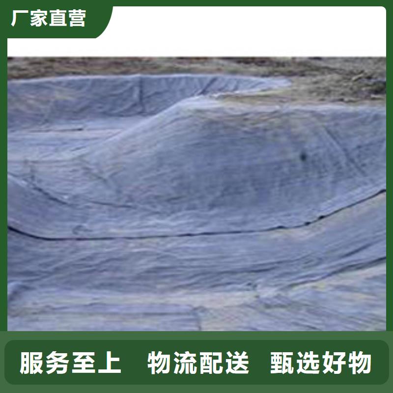 防水毯排水板厂家有实力有经验