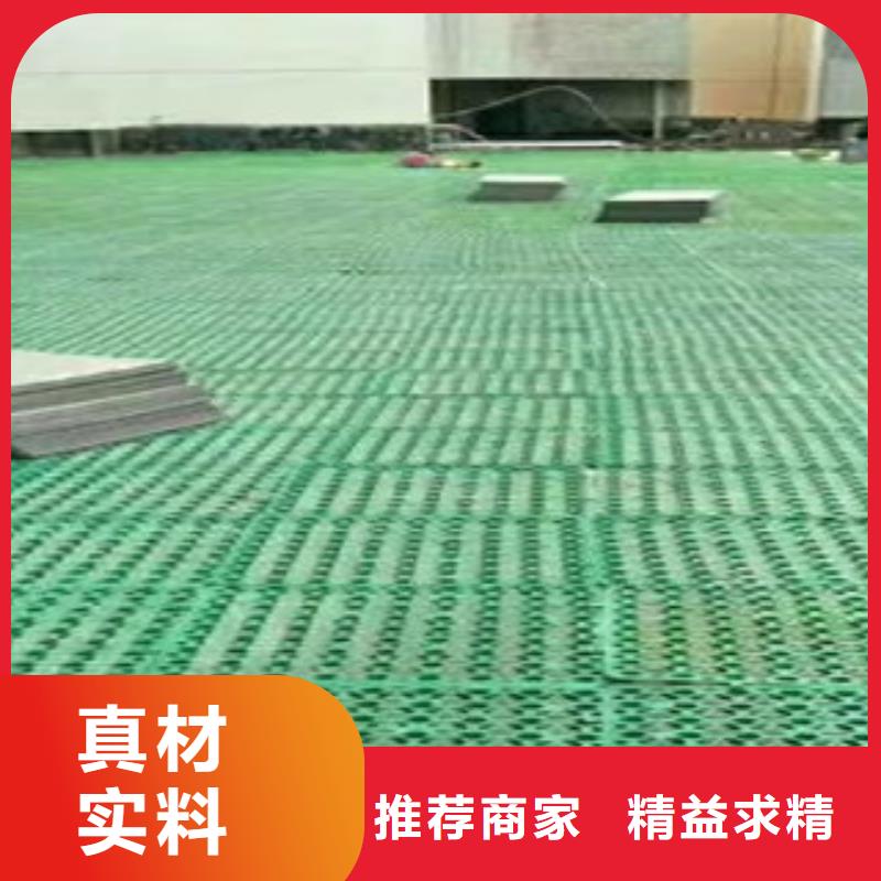 【蓄排水板植草格厂家厂家直销】