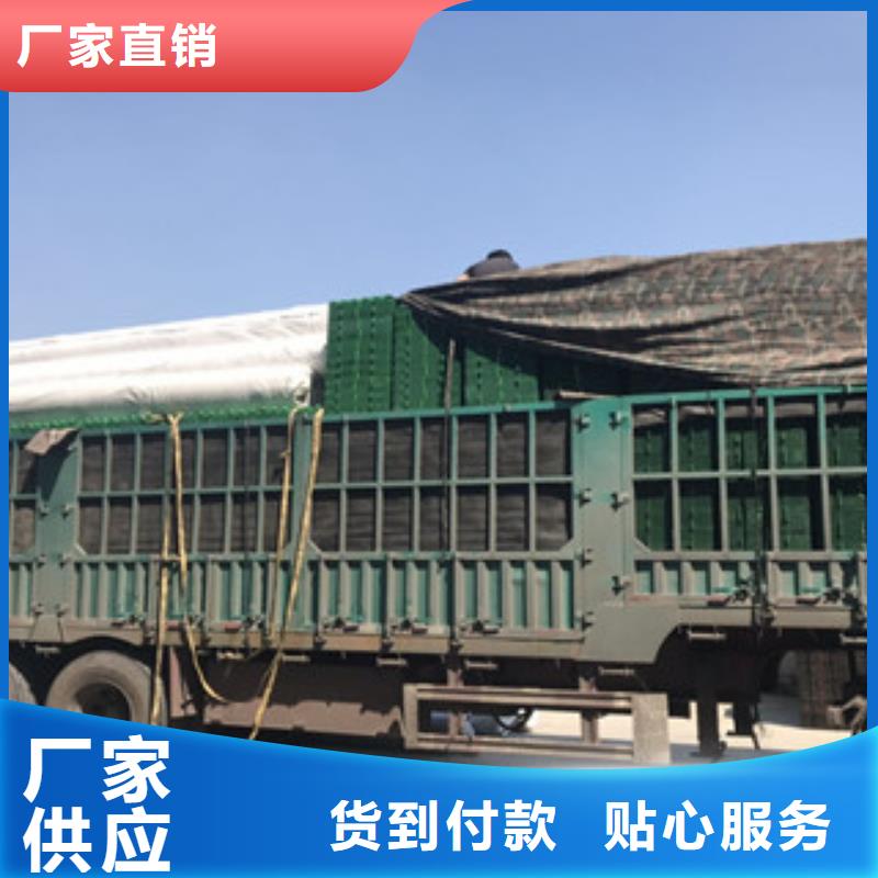 【蓄排水板】土工膜厂家一站式供应厂家