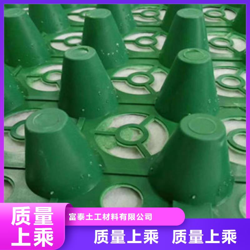 蓄排水板虹吸排水槽厂家实体厂家大量现货