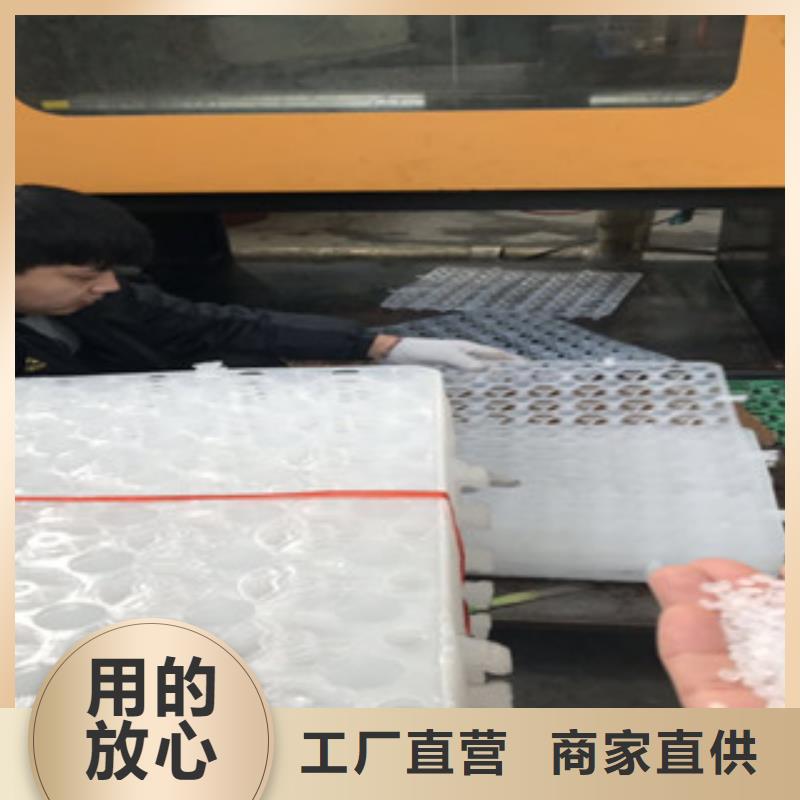 蓄排水板虹吸排水槽厂家实体厂家大量现货