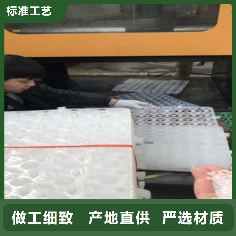 【蓄排水板植草格厂家厂家直销】
