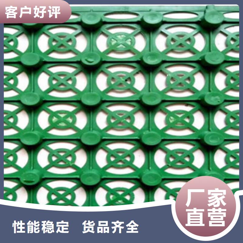 蓄排水板虹吸排水槽厂家实体厂家大量现货