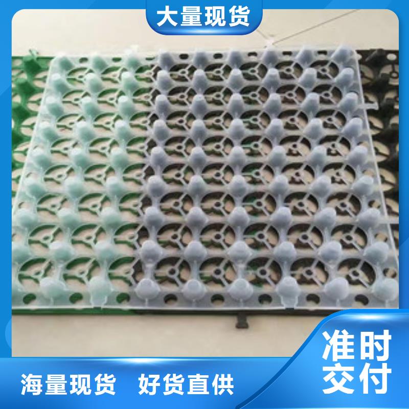 【蓄排水板】土工膜厂家一站式供应厂家