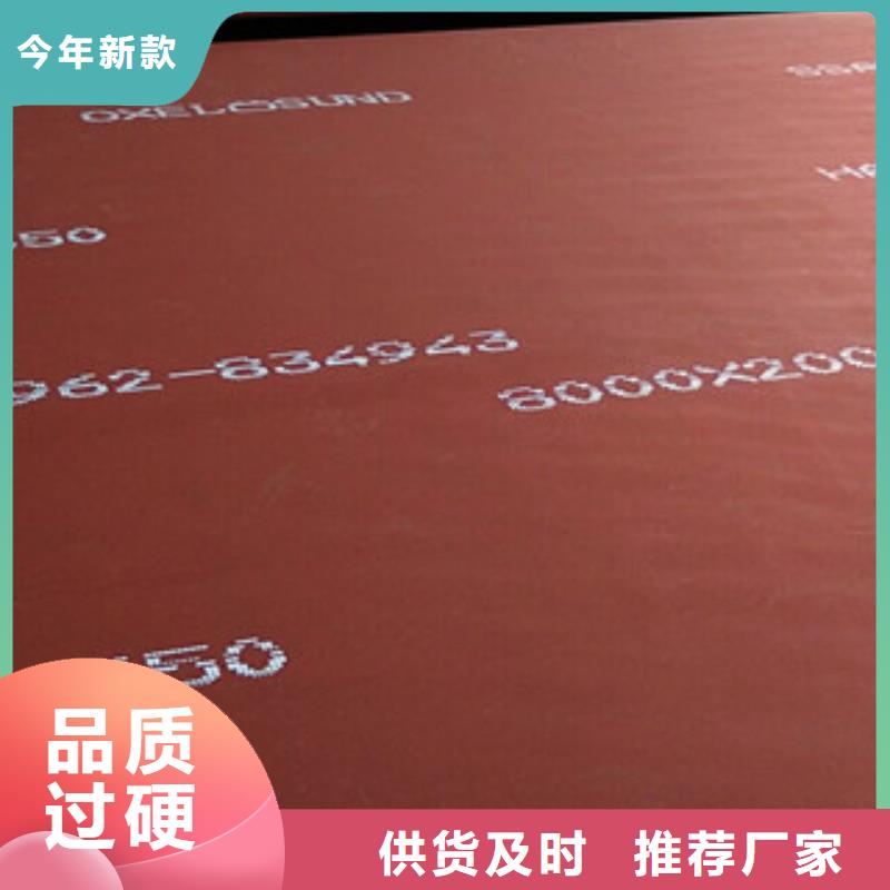 进口耐磨板,弹簧钢片专注细节专注品质