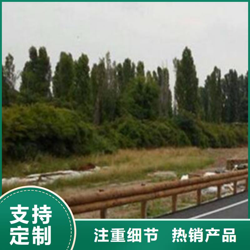 【钢背木护栏防撞护栏厂家大量现货】