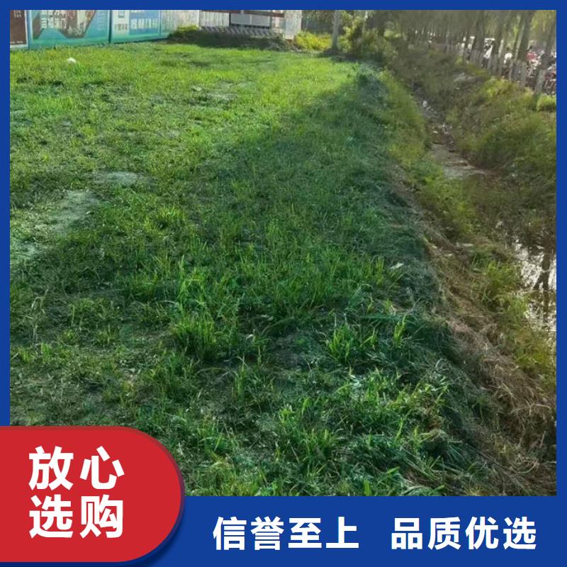 环保抑尘剂量大从优