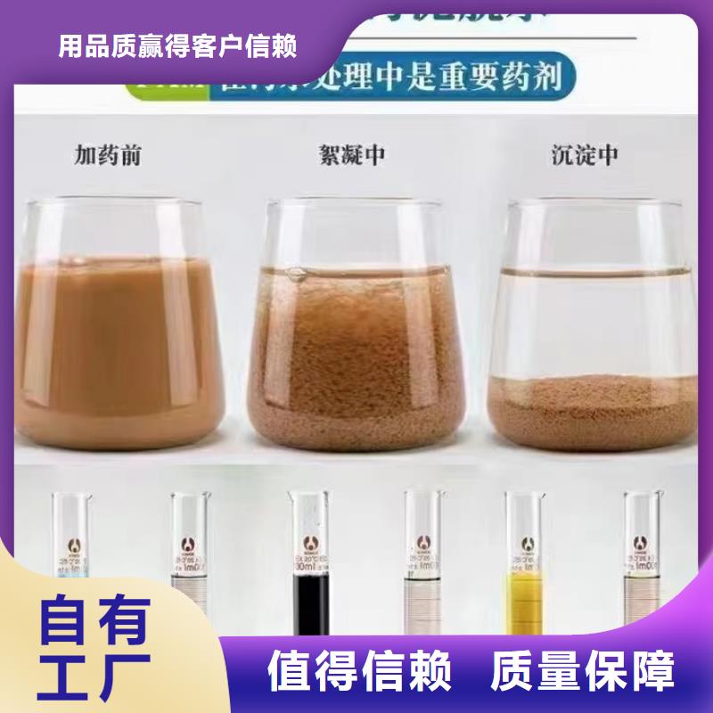酰胺行业领先