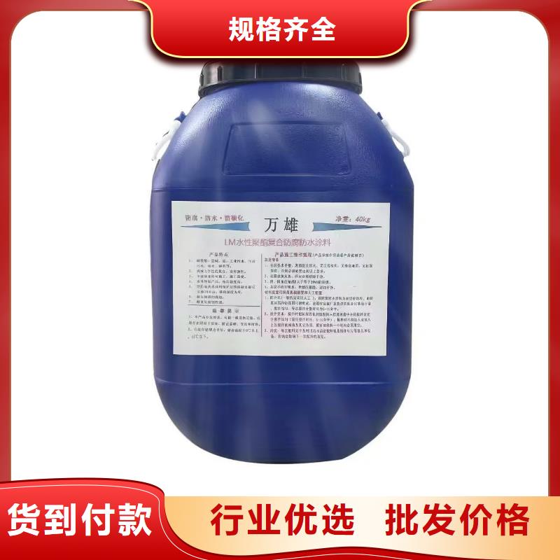 EMA-II型防腐防水涂料高品质现货销售直销厂家RJA消防水池专用防腐防水防霉涂料