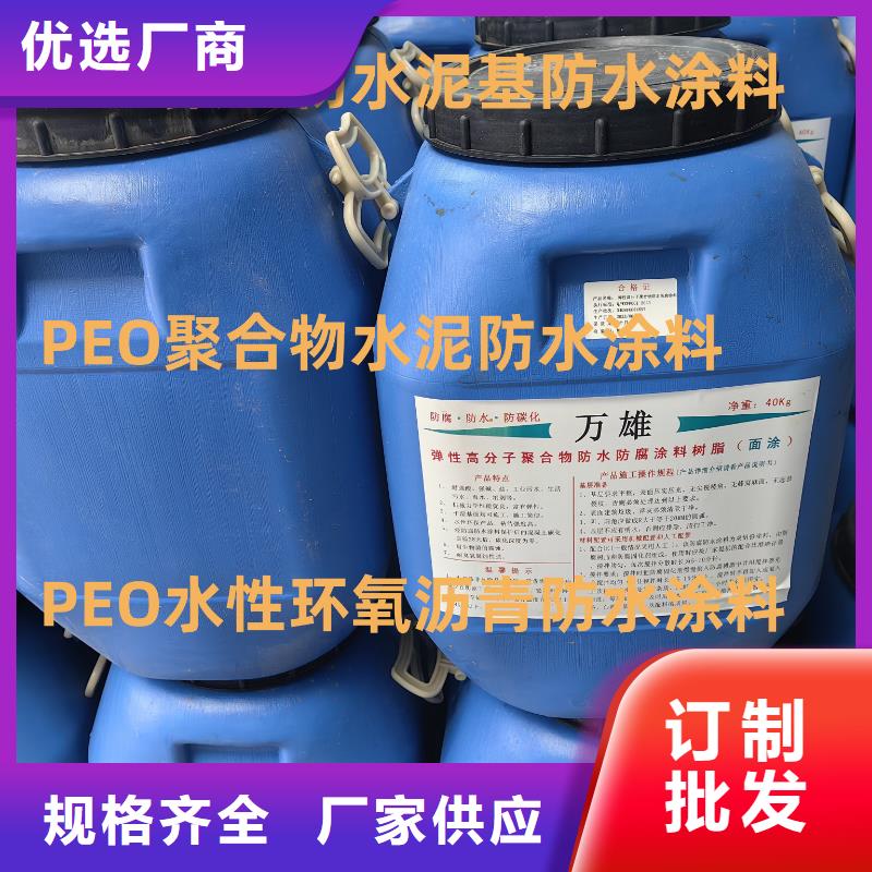 EMA-II型防腐防水涂料高品质现货销售直销厂家RJA消防水池专用防腐防水防霉涂料