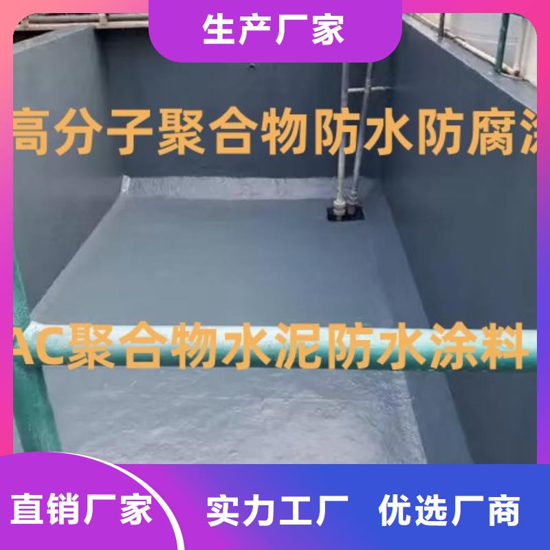 EMA-II型防腐防水涂料高品质现货销售直销厂家RJA消防水池专用防腐防水防霉涂料