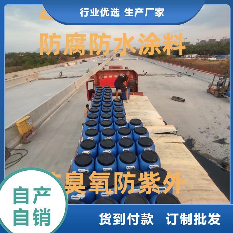 EMA-II型防腐防水涂料高品质现货销售直销厂家RJA消防水池专用防腐防水防霉涂料