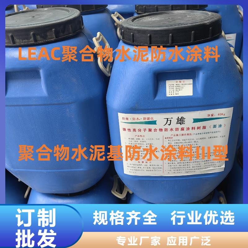 氰凝防腐涂料超产品在细节应用广泛AST合成高分子防水涂膜