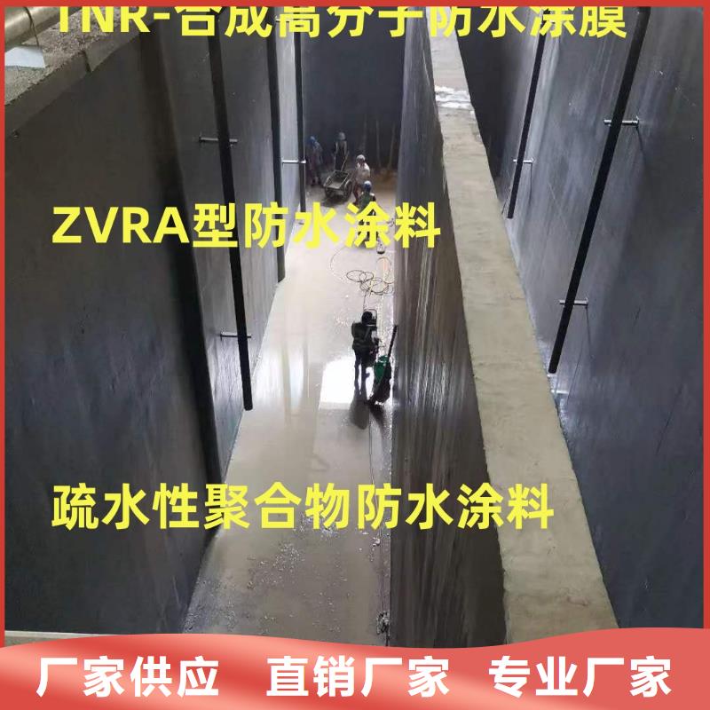EMA-II型防腐防水涂料高品质现货销售直销厂家RJA消防水池专用防腐防水防霉涂料