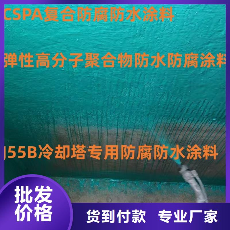 VRA氟碳乙烯聚酯防腐涂料畅销当地应用广泛PEO无机防腐防水砂浆