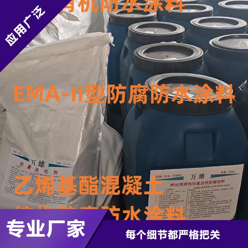 EMA-II型防腐防水涂料高品质现货销售直销厂家RJA消防水池专用防腐防水防霉涂料