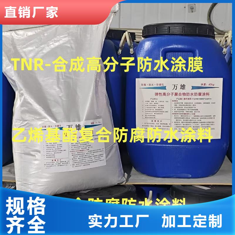 EMA-II型防腐防水涂料高品质现货销售直销厂家RJA消防水池专用防腐防水防霉涂料