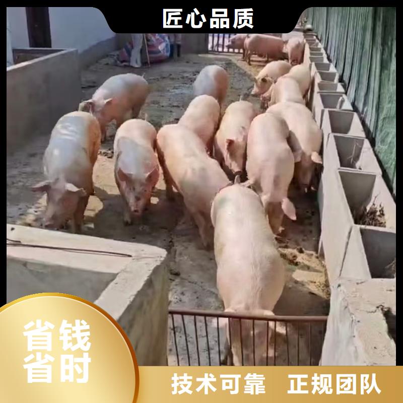 绍兴到猪牛羊运输恒温车技术可靠