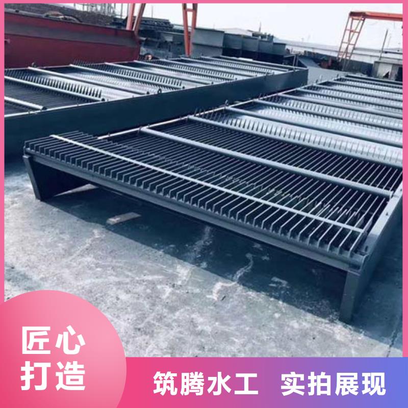 耙齿格栅除污机本地厂家