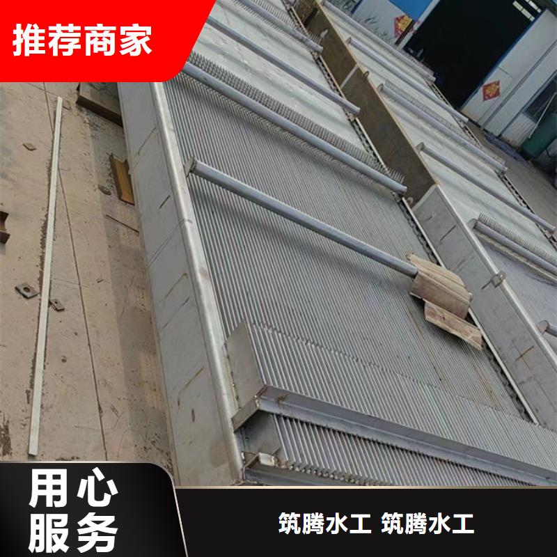 耙斗式清污机直销