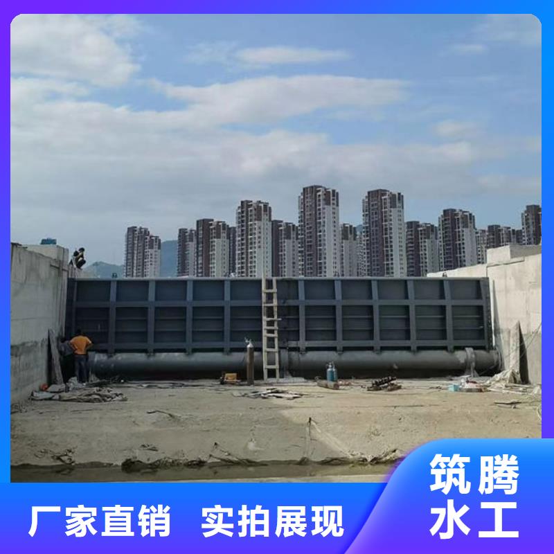 翻板闸门厂家直营