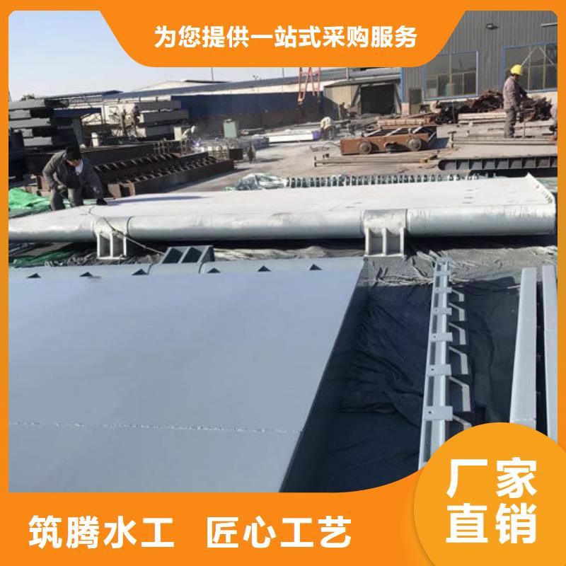 液压双控翻板闸门产地直供